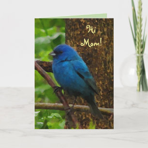 Carte Fête des mères d'Indigo Bunting