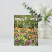 Carte Fête des Mères du Jardin des Tulipes (Debout devant)