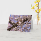 Carte Fête des mères en fleurs (Fleur jaune)