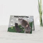 Carte Fête des mères grises Chat et chaton noir Bonne fê (Devant)