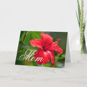 Carte Fête des mères Hibiscus rouge Fleur tropicale