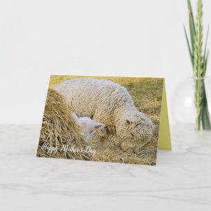 Carte Fête des mères, scène agricole, bébé avec mère, ag