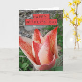 Carte Fête des mères Tulipe rouge (Fleur jaune)