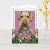 Carte Fête des mères - Tulipes roses - Airedale (Fleur jaune)