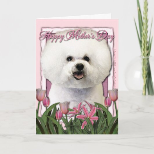 Carte Fête des mères - Tulipes roses - Bichon Frise (Devant)