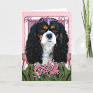 Carte Fête des mères - Tulipes roses - Cavalier - Tri-Co