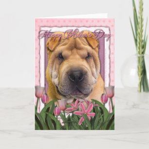 Carte Fête des mères - Tulipes roses - Chinois Shar Pei