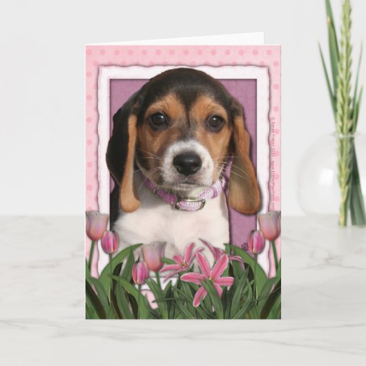 Carte Fête des mères - Tulipes roses - Chiot Beagle (Devant)