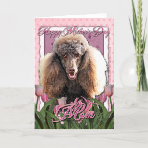 Carte Fête des mères - Tulipes roses - Poodle - Chocolat