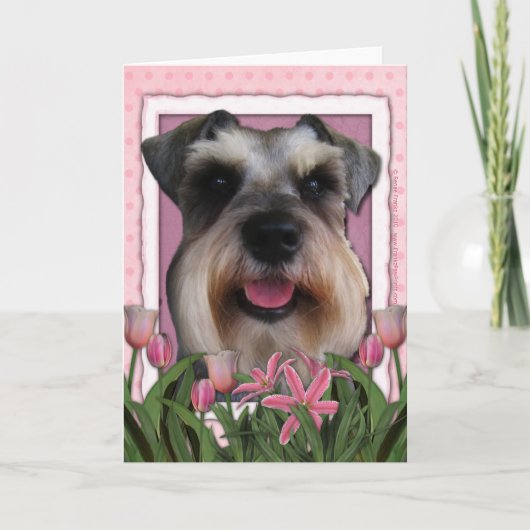 Carte Fête des mères - Tulipes roses - Schnauzer (Devant)