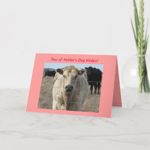 Carte Fête des Mères - Vache blanche mignonne - Ranch ou