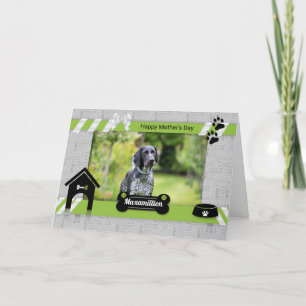 Carte Fête des mères vertes du chien Photo