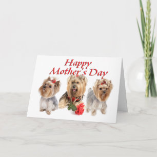 Carte Fête des mères Yorkies