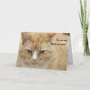 Carte fête des pères