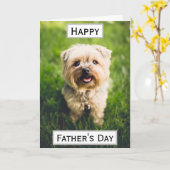 Carte Fête des pères Chien papa Meilleur Meilleur Jamais (Fleur jaune)