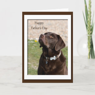 Carte Fête des pères Chocolat Brown Labrador Chien