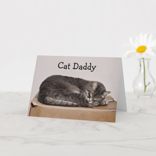 Carte Fête des pères Cute Tabby Chat Papa (Petite plante)