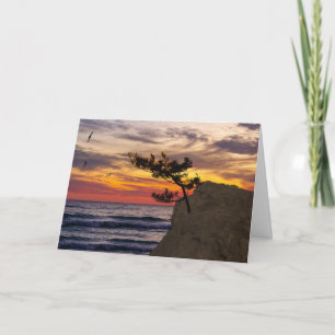 Carte Fête des pères de l'arbre du coucher de soleil