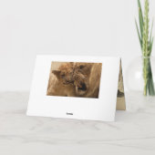 Carte Fête des pères de lion et d'oeuf (Dos)