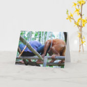 Carte Fête des pères drôle (Fleur jaune)