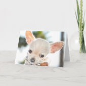 Carte fête des pères en espagnol (Dos)