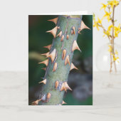 Carte "Fête des pères" Êtes-Vous Prêt ? (Fleur jaune)