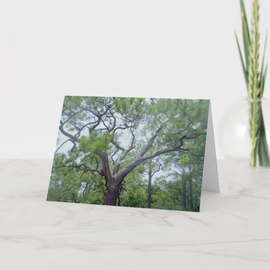 Carte Fête des pères heureuse (Devant)