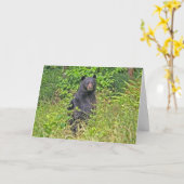 Carte Fête des pères Papa Bear (Fleur jaune)