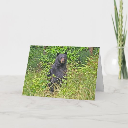 Carte Fête des pères Papa Bear (Devant)