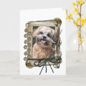 Carte Fête des pères - pattes en pierre - ShihPoo - (Fleur jaune)