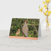 Carte Fête des pères Quail~ Kimberly P-Chadwick (Fleur jaune)