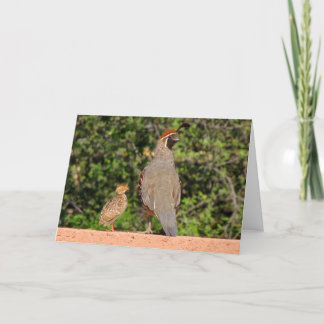 Carte Fête des pères Quail~ Kimberly P-Chadwick