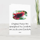 Carte Fête des pères "Top Papa" (Dos)