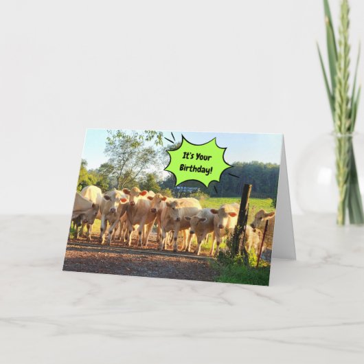 Carte Fête Jusqu'À Ce Que Les Vaches Reviennent À La Mai (Devant)