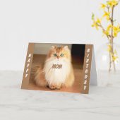 CARTE **FÊTONS-NOUS MÈRE** CHAT À GRANDE FACE DIT (Fleur jaune)