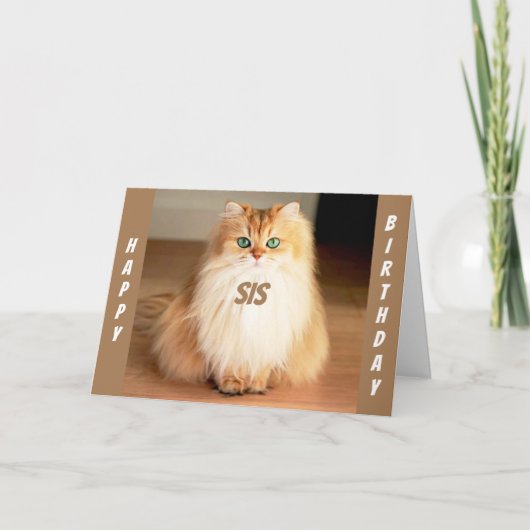 CARTE **FÊTONS VOUS SIS** UN CHAT À GRAND OEIL DIT (Devant)