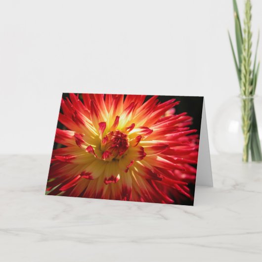 Carte Feu d'artifice floral (Devant)