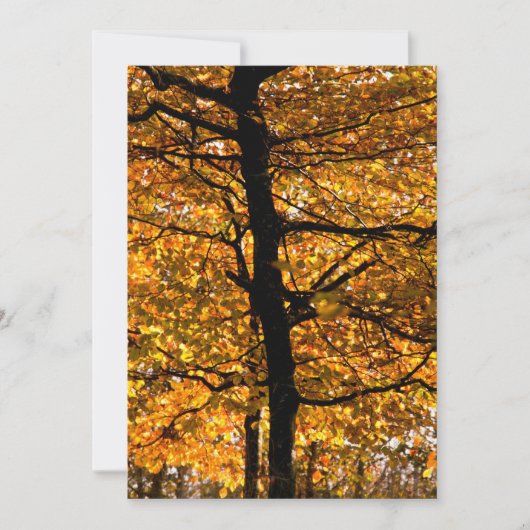 Carte Feuillage d'automne (Devant)