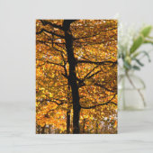 Carte Feuillage d'automne (Debout devant)