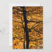 Carte Feuillage d'automne (Dos)