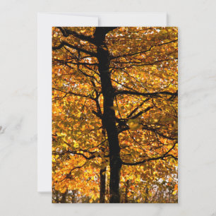 Carte Feuillage d'automne