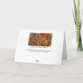 Carte Feuillage d'automne / Jaune d'or / Joyeux Y'all d' (Dos)