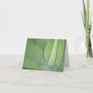 Carte Feuille