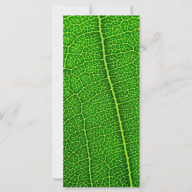 Carte Feuille (Devant)