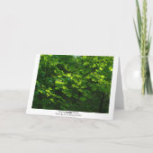 Carte Feuille au printemps (Dos)