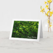 Carte Feuille au printemps (Fleur jaune)