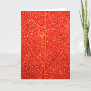 Carte Feuille automnale