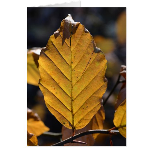 Carte feuille automne (Devant)
