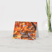 Carte Feuille d'automne 2 (Devant)