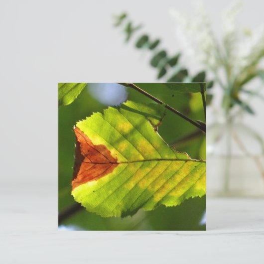 Carte Feuille de chute verte (Debout devant)
